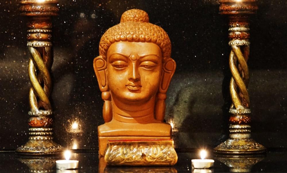 فندق تاج تشانديغر Chandīgarh المظهر الخارجي الصورة The Buddha